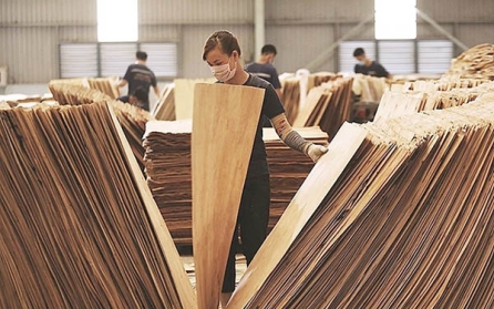 Mỹ sẽ ban hành kết luận điều tra chống bán phá giá gỗ dán cứng của Việt Nam vào ngày 17/10
